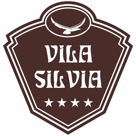 Vila Silvia Sovata Exteriör bild