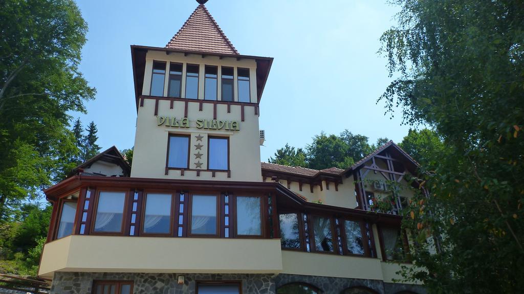 Vila Silvia Sovata Exteriör bild