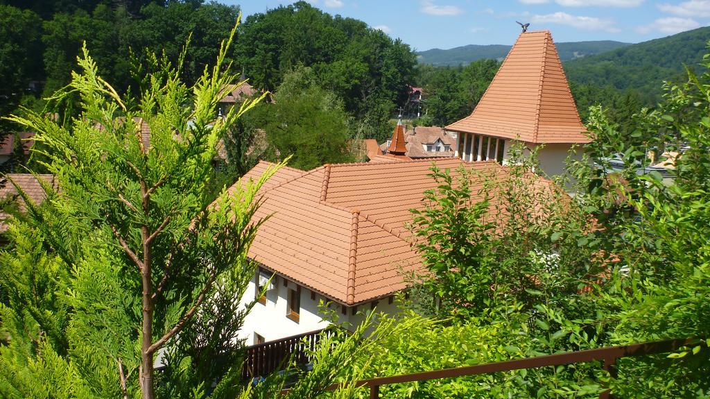Vila Silvia Sovata Exteriör bild