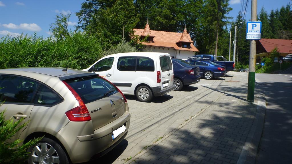 Vila Silvia Sovata Exteriör bild